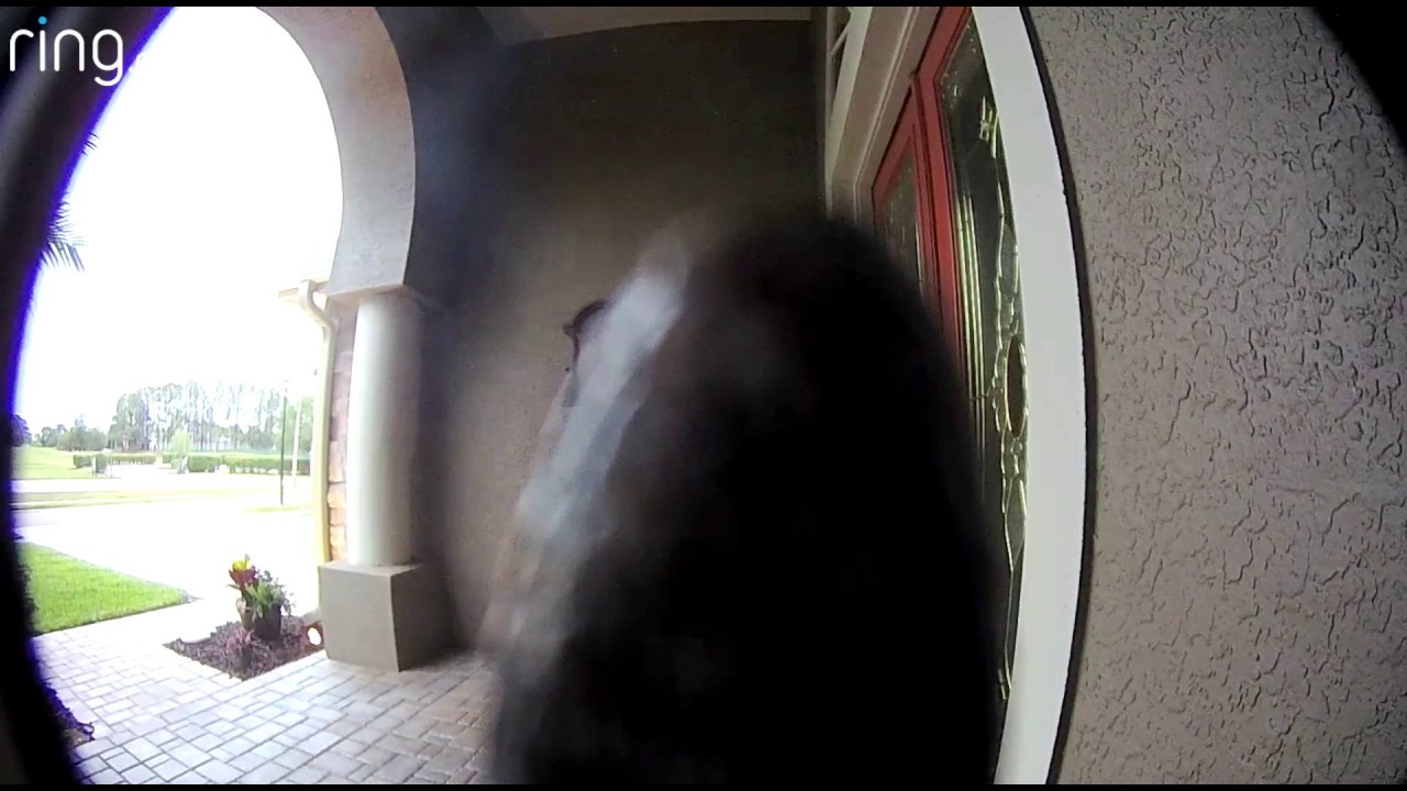 “There is a motion at your front door” - Ring - YouTube