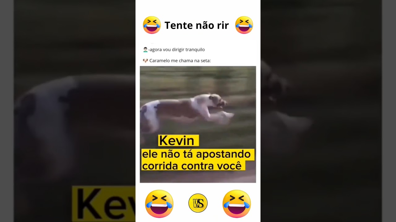 Censoring fingers em 2023  Piadas com fotos, Videos engraçados para rir,  Memes engraçados