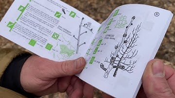 Make Winter Tree ID Easy!