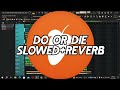 Fl studio project slowedreverb  do or die remix