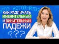 Именительный и винительный падеж. Как различать именительный и винительный падежи? |  Русский язык