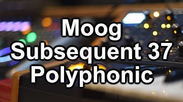Moog Subsequent 37 polyphonic recording