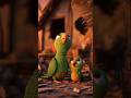 parrot Story #shortcutkeys #perros #perrottvideo