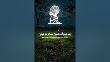 @وَلَقَدْ نَعْلَمُ أَنَّكَ يَضِيقُ صَدْرُك بِمَا يَقُولُونَ من سورة الحجرات #القران #المصحف #اكسبلور