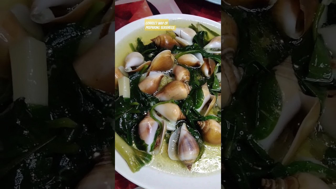 Seashells Cooking 