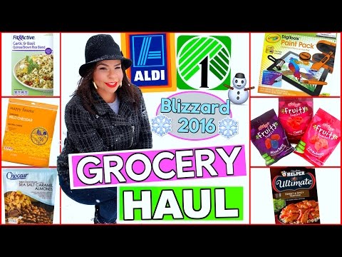 ALDI'S GROCERY HAUL + MINI DOLLAR TREE HAUL  |WHAT A FAMILY OF 4 EATS DURING A BLIZZARD