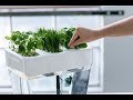 DIY Herb Garden Ideas