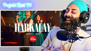 Punjabi Reaction from India - Harkalay | Coke Studio Pakistan | Season 15