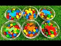 Satisfying Video | Mixing Rainbow Animals with Candy in Magic Bathtub with Glossy Water Cutting ASMR