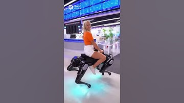 First Look Quadruped at Expo #robot #quadrupedrobot #robotics