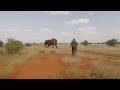Efecto Pirry I Elefantes y héroes en Kenia