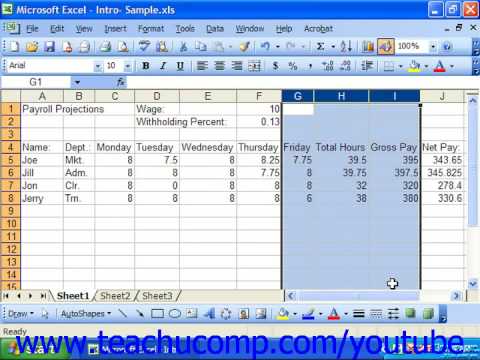 Excel 2003 Tutorial Hiding and Unhiding Columns and Rows Microsoft Training Lesson 6.4