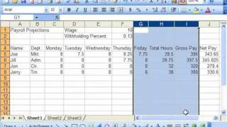 Excel 2003 Tutorial Hiding and Unhiding Columns and Rows Microsoft Training Lesson 6.4