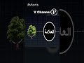 العلامات في اللغة فلسفة لغة دلالات جاك ديريدا