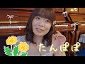太田裕美さんの「たんぽぽ」を歌ってみた
