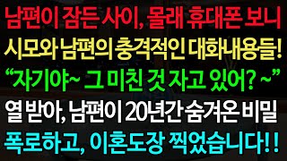 실화사연-남편이 잠든 사이 몰래 휴대폰 보니 시모와 남…