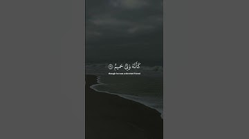 الأية 34 و 35 من سورة فصلت 🎧