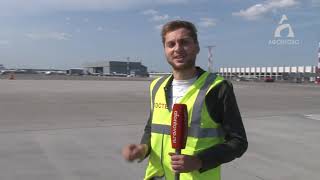 Защита от птиц в красноярском аэропорту