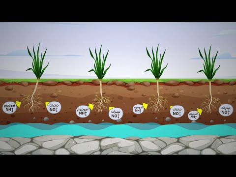 تصویری: کشاورزان چگونه به حفظ خاک کمک می کنند؟