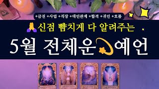 [타로 운세]✨🙏신점 뺨치는 5월 전체운💫예언 #금전 #직장 #사업 #합격 #연락 #대인관계 #타로