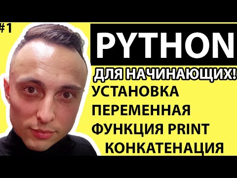 🐍 Python С