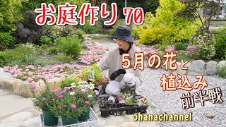 【庭作り 70】【前半戦!】5月の花はキレイ★の連発だった(=゜ω゜)ノ 過酷な環境に耐えてる、5月の上旬の植物紹介、新しい植込み、多年草、低木など