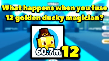 What happens when you fuse 12 golden ducky magician? (Roblox Pet Simulator X - Steampunk)