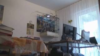 Замедленный полет попугайчиков Flight Slow Motion Замедленный полет попугайчиков Flight Slow Motion