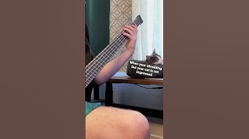 Thumbnail of Reverie - Polyphia ft. unimpressed cat