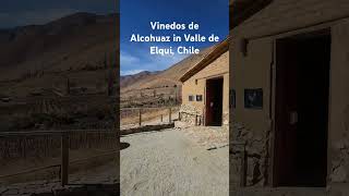 Vinedos de Alcohuaz in Valle de Elqui, Chile. #thechileanescape