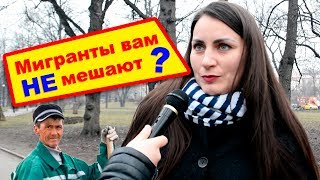 Мигранты в России нужны? Социальный опрос!