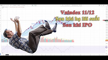 Vnindex 11/12: sau khi hạ lãi suất, sau khi IPO