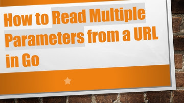 How to Read Multiple Parameters from a URL in Go