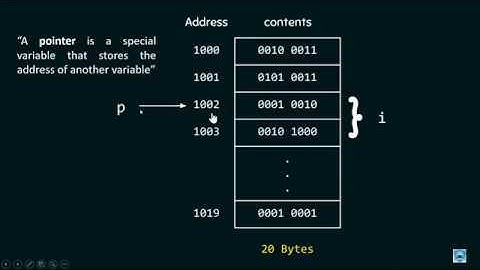 BCA203 - Programming with 