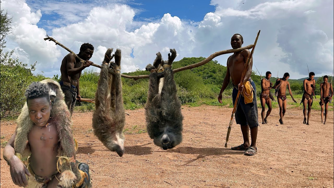 Discover Baboon Hunt With The Hadza | see what happens next