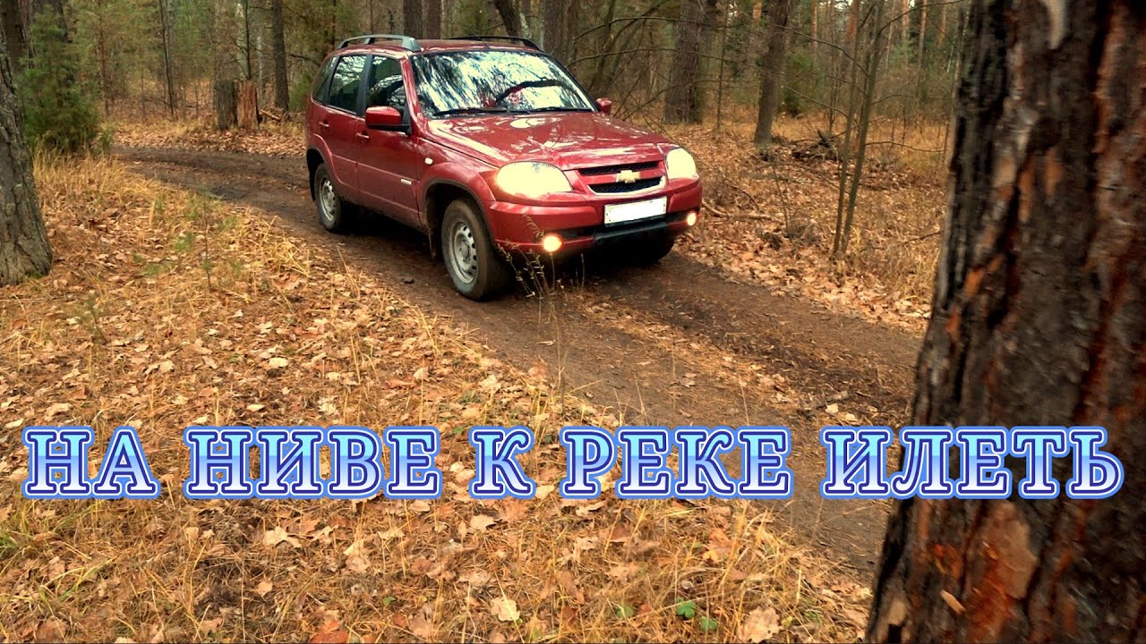 НА НИВЕ К РЕКЕ ИЛЕТЬ.  НОЯБРЬ 2025
