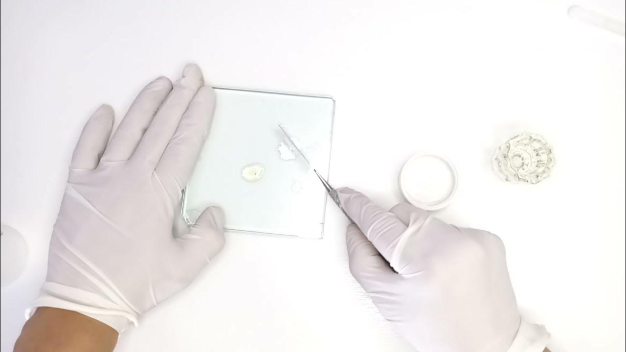 Cómo preparar ZOE /Óxido de Zinc y Eugenol odontología YouTube