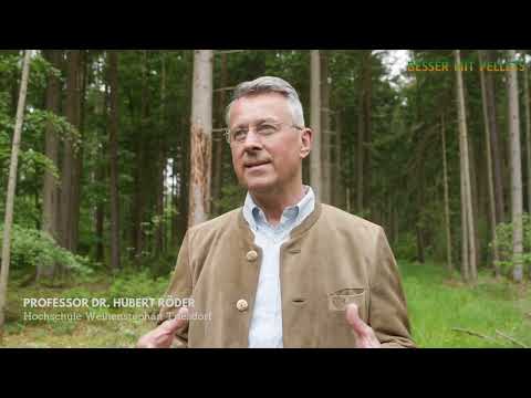Statement von Professor Dr. Röder zur Studie "KlimaHolz"
