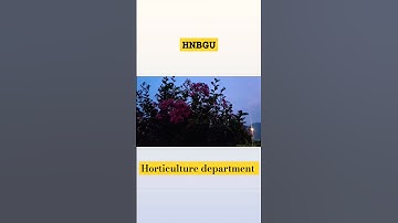 hnbgu || Horticulture department || Chauras campus || Hnb garhwal university || Vlog with a view