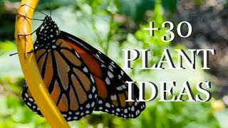 WANT BUTTERFLIES?!? 21 MUST KNOW Tips to Create a Butterfly Friendly Garden