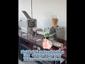 Small Multi-functional meat Shaomai Shumai Maker Steamed buns wontons machine #shaomai #Steamed buns