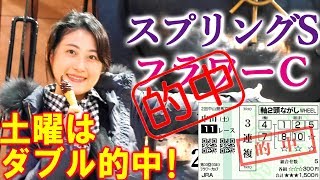 【競馬】スプリングS 2019 フラワーC 予想（気性が落ち着いていたモノ勝ち！） ヨーコヨソー