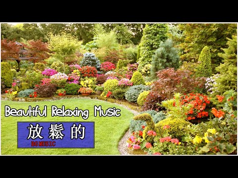 早安 台灣古典音樂 放鬆心靈音樂 放鬆音樂你必須享受 Beautiful Saxophone Music