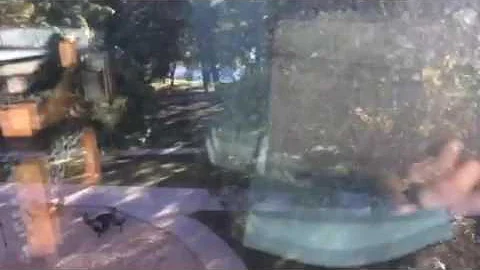 Real Video 2