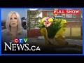 Barrhaven crossing guard dies after hit-and-run | CTV News Ottawa at Six for Tuesday, March 24, 2026