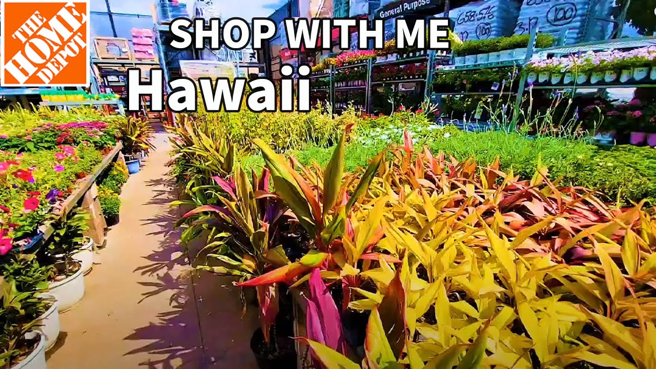 Garden Center Home depot Maui Hawaii. Tropical plants, fruits, flowers