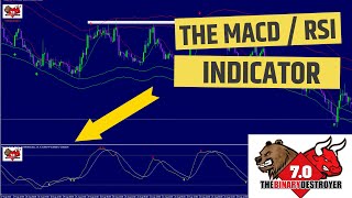 The MACD / RSI Indicator In Action!!!! (140% GAIN) Net Worth