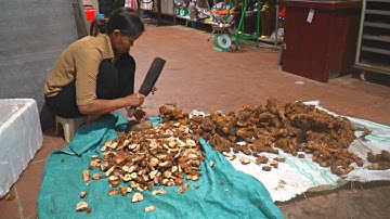 Sơ Chế Sâm Thổ Phục Linh (Củ Khúc Khắc)