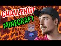 minecraft challenge with mr beeast