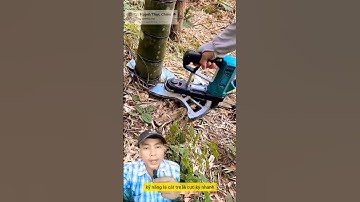 ngạc nhiên trước kỹ năng cắt cây cực đỉnh của anh chàng này #shorts